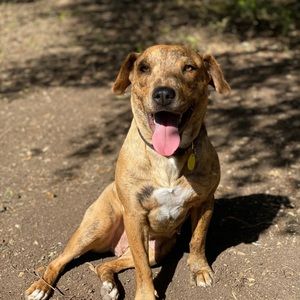 Meet your Posher, Raymond